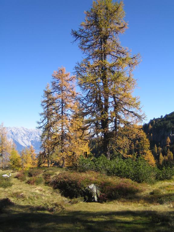 Appartement Ginschel Altenmarkt im Pongau Esterno foto